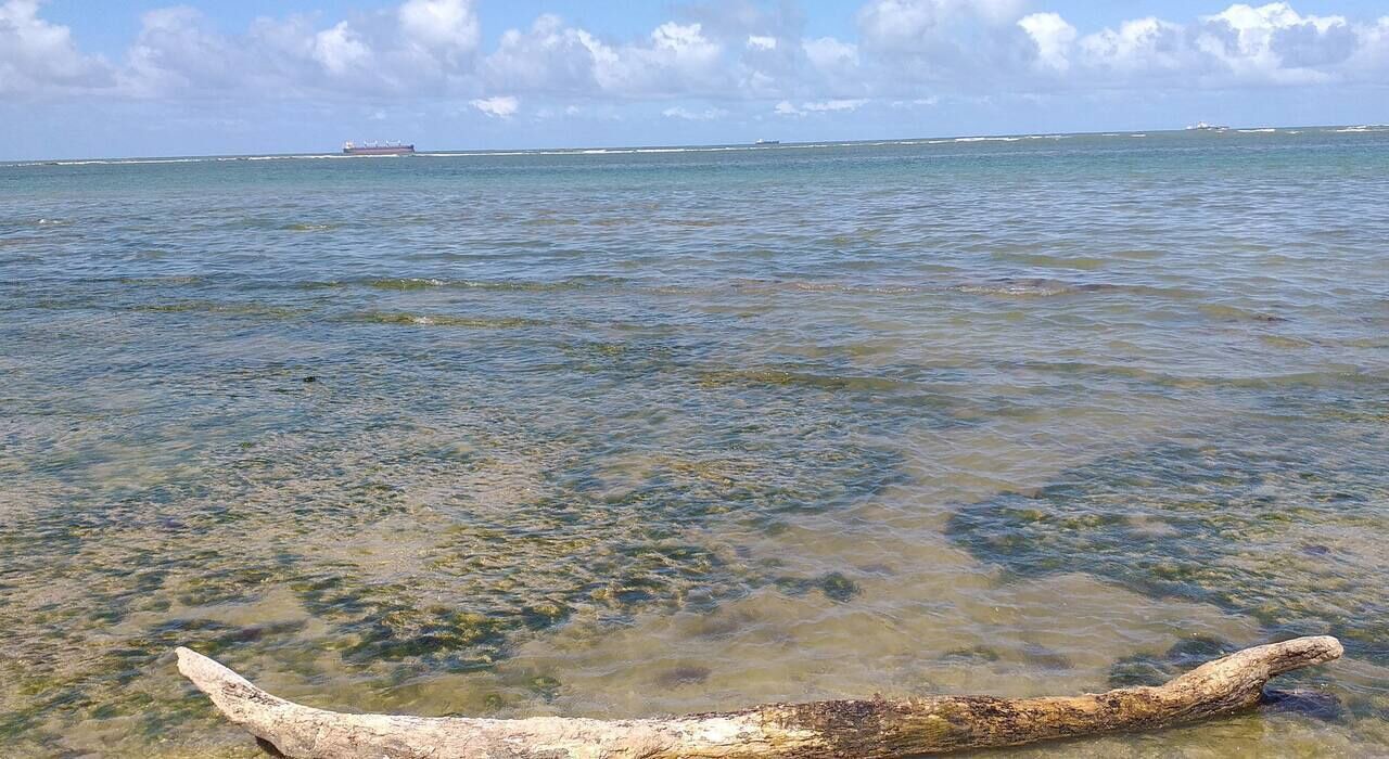 Photo of Others in Barra do Gil