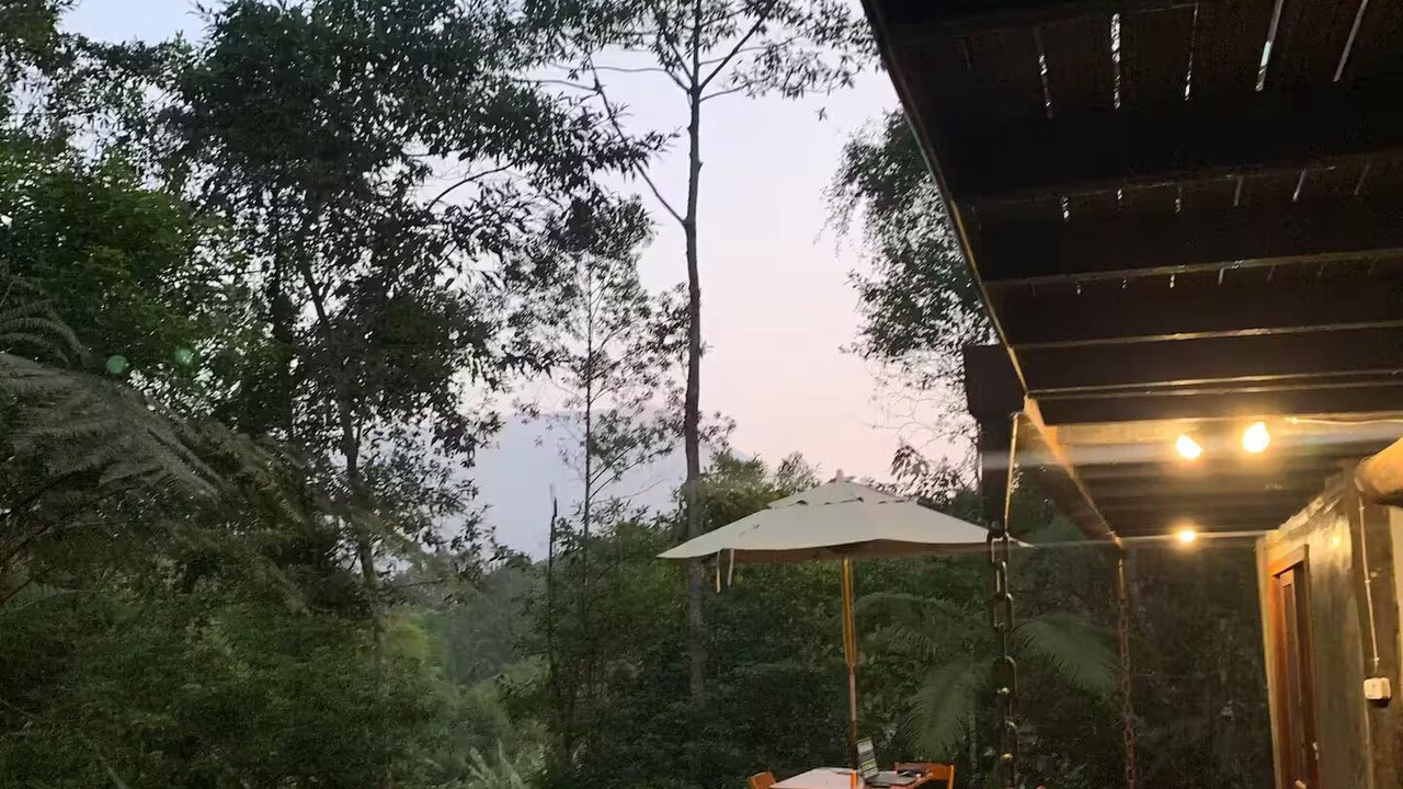Photo of Outdoor in Picinguaba