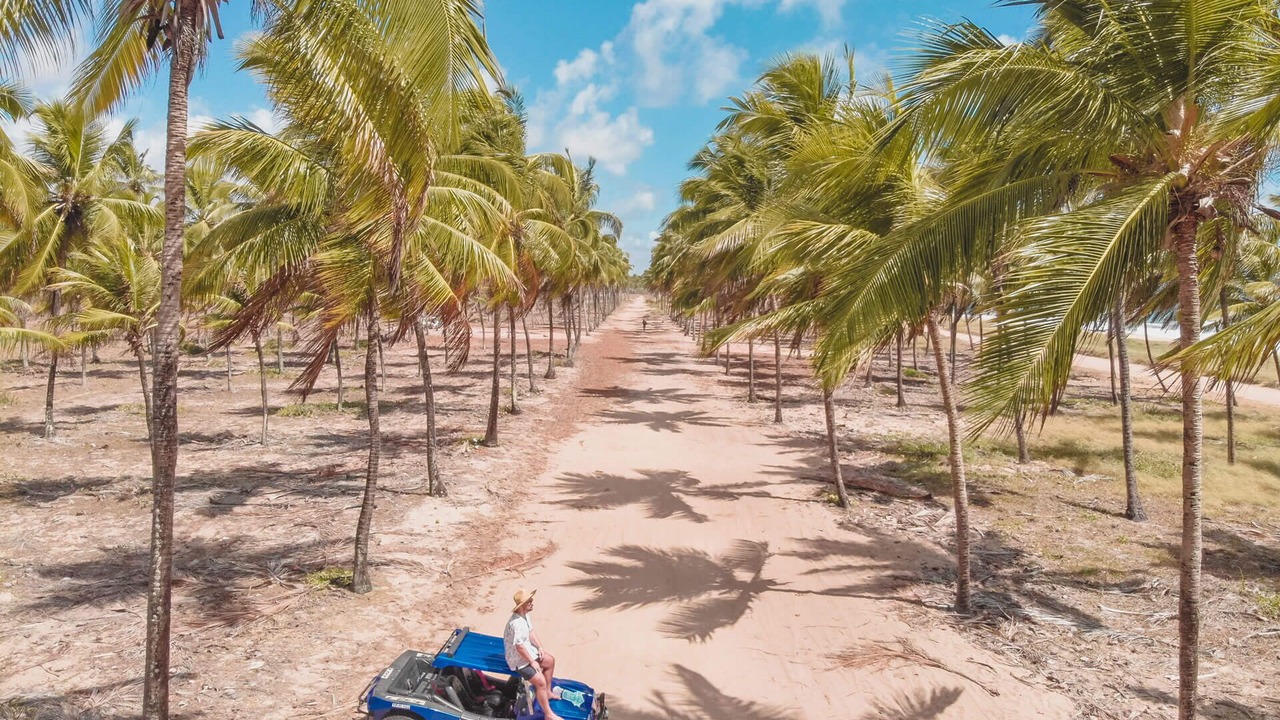 Photo of Others in Porto de Galinhas