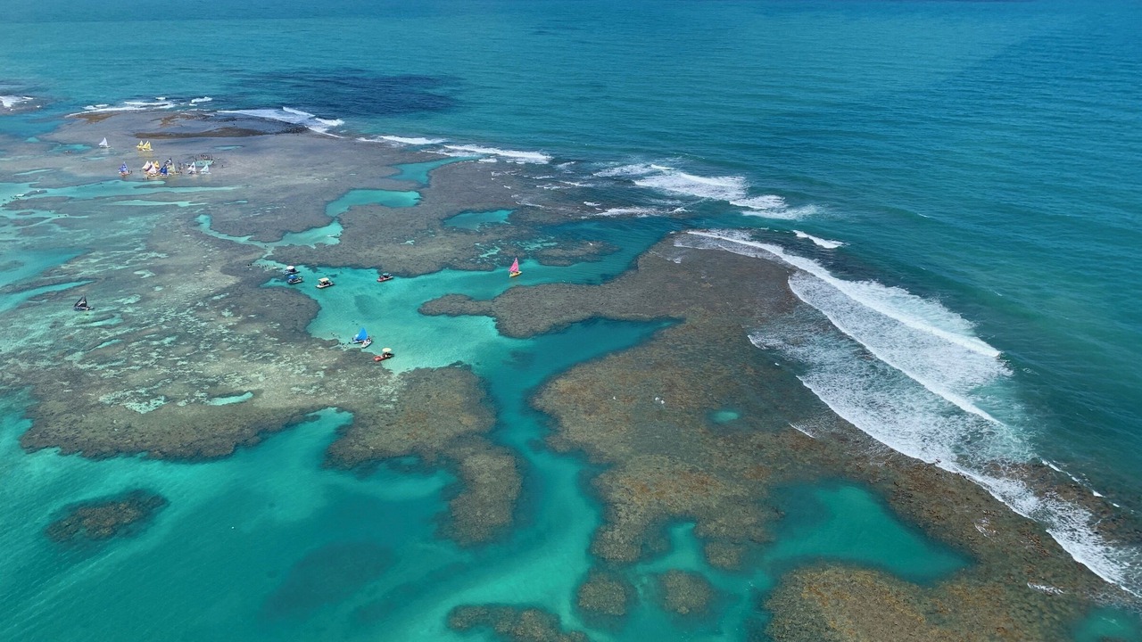 Photo of Others in Porto de Galinhas
