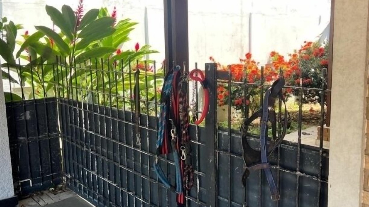 Photo of Outdoor in Jardim Aruan