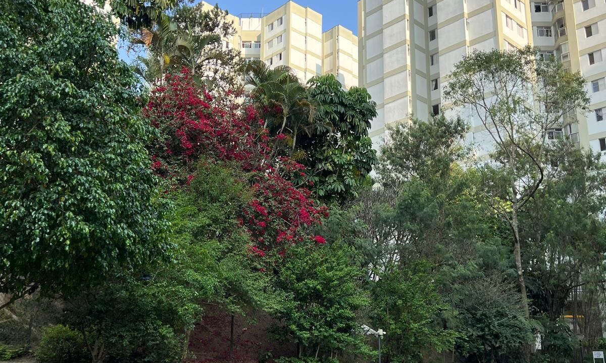 Photo of Others in Sao Paulo