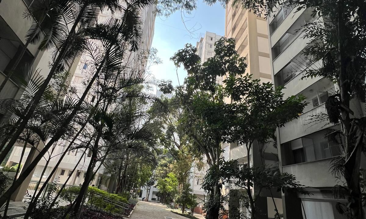 Photo of Outdoor in Sao Paulo