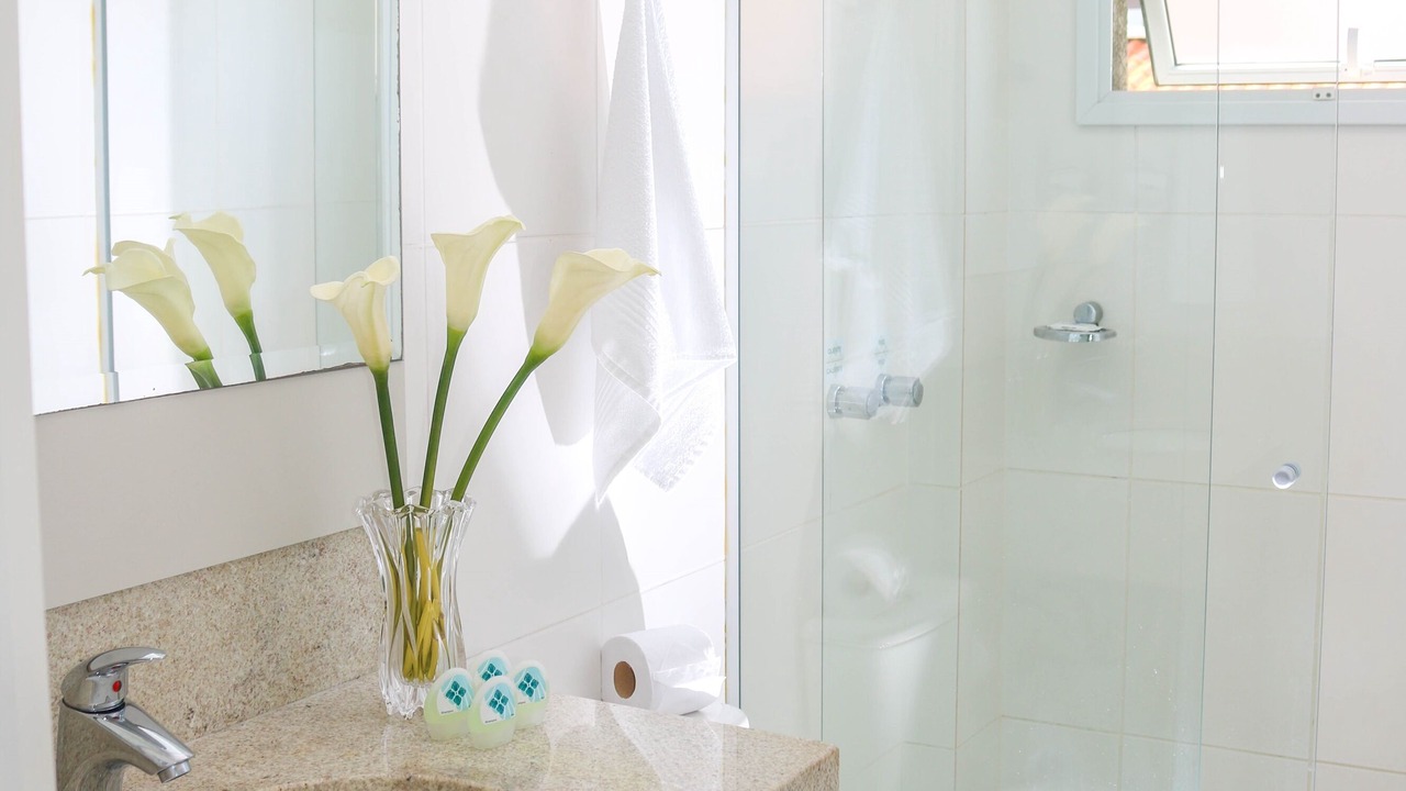 Photo of Bathroom in Ingleses Sul