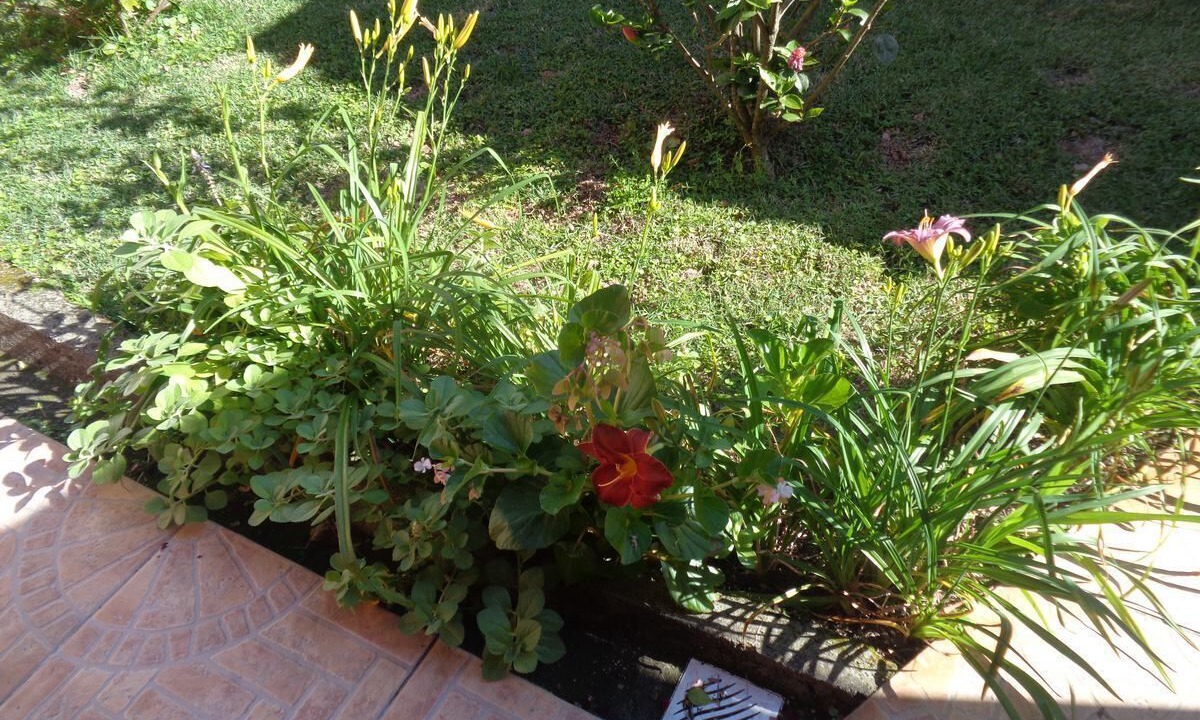 Photo of Patio Balcony in Jurere