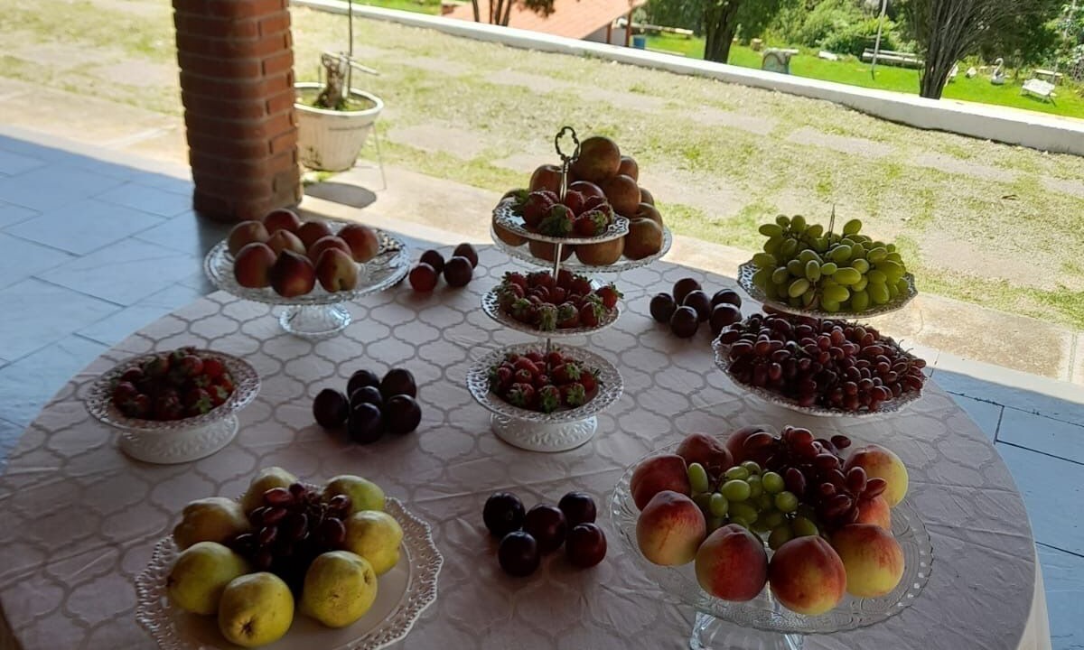 Photo of Outdoor in Sao Joao Novo