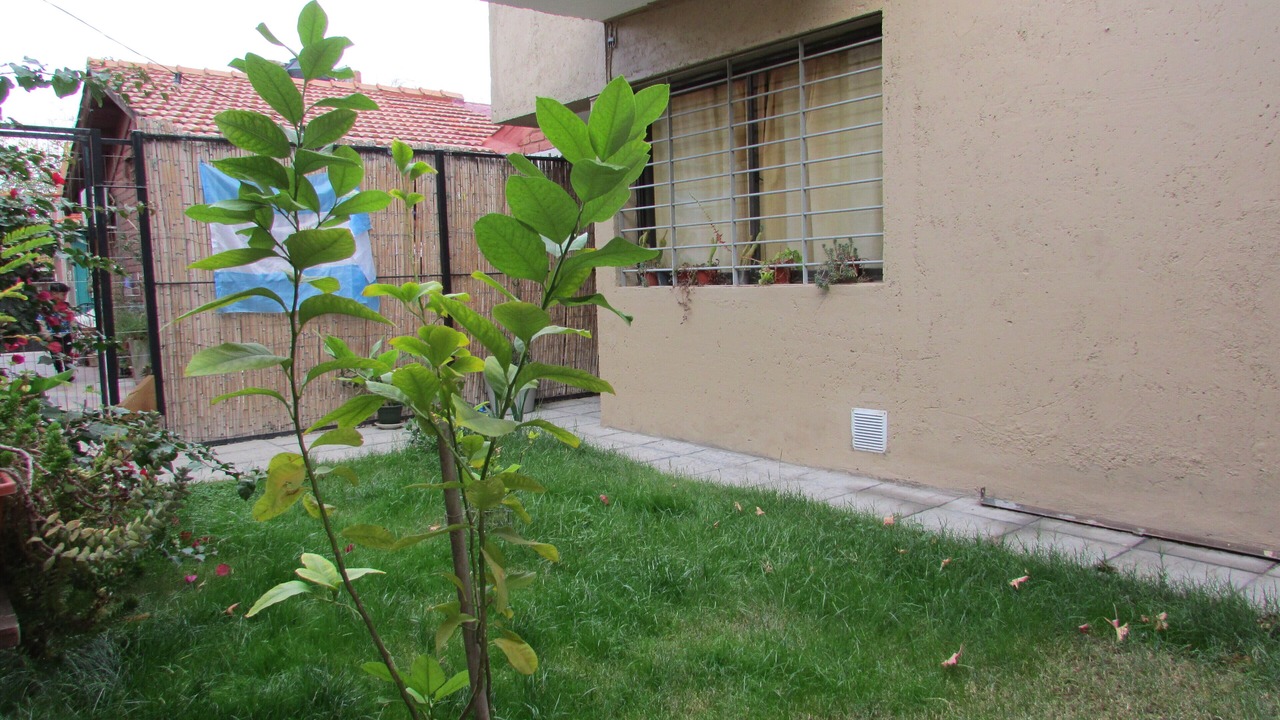 Photo of Outdoor in Historic Center