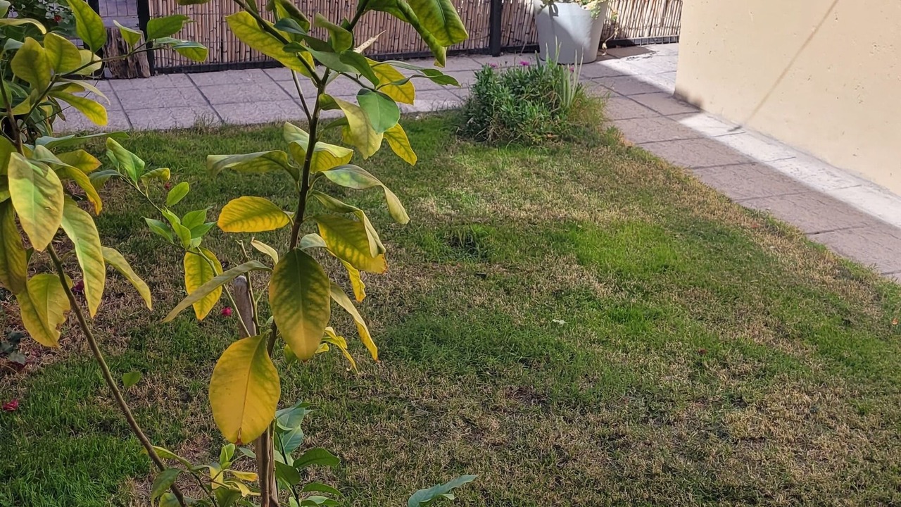 Photo of Outdoor in Historic Center
