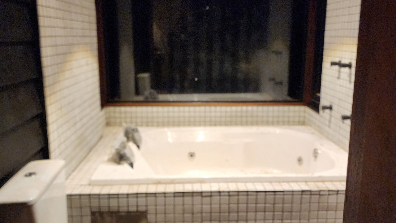 Photo of Bathroom in Campos do Jordao