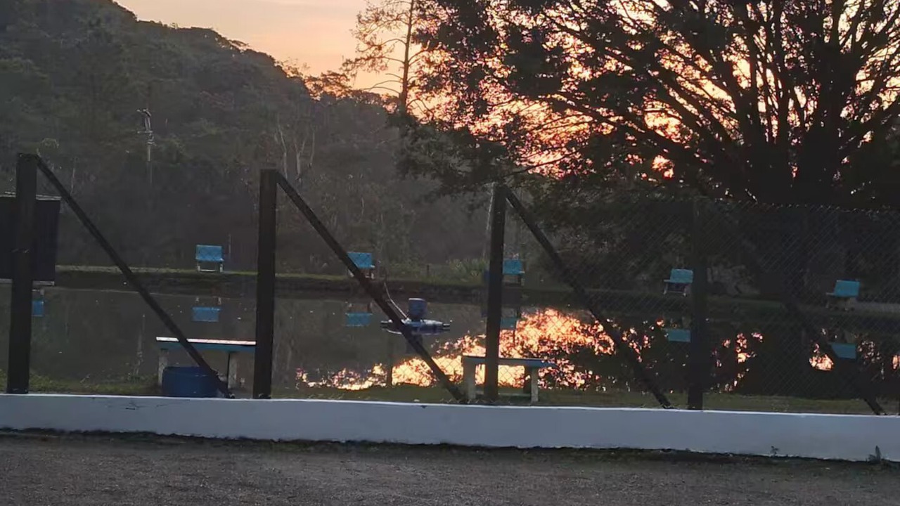 Photo of Others in Santo Andre