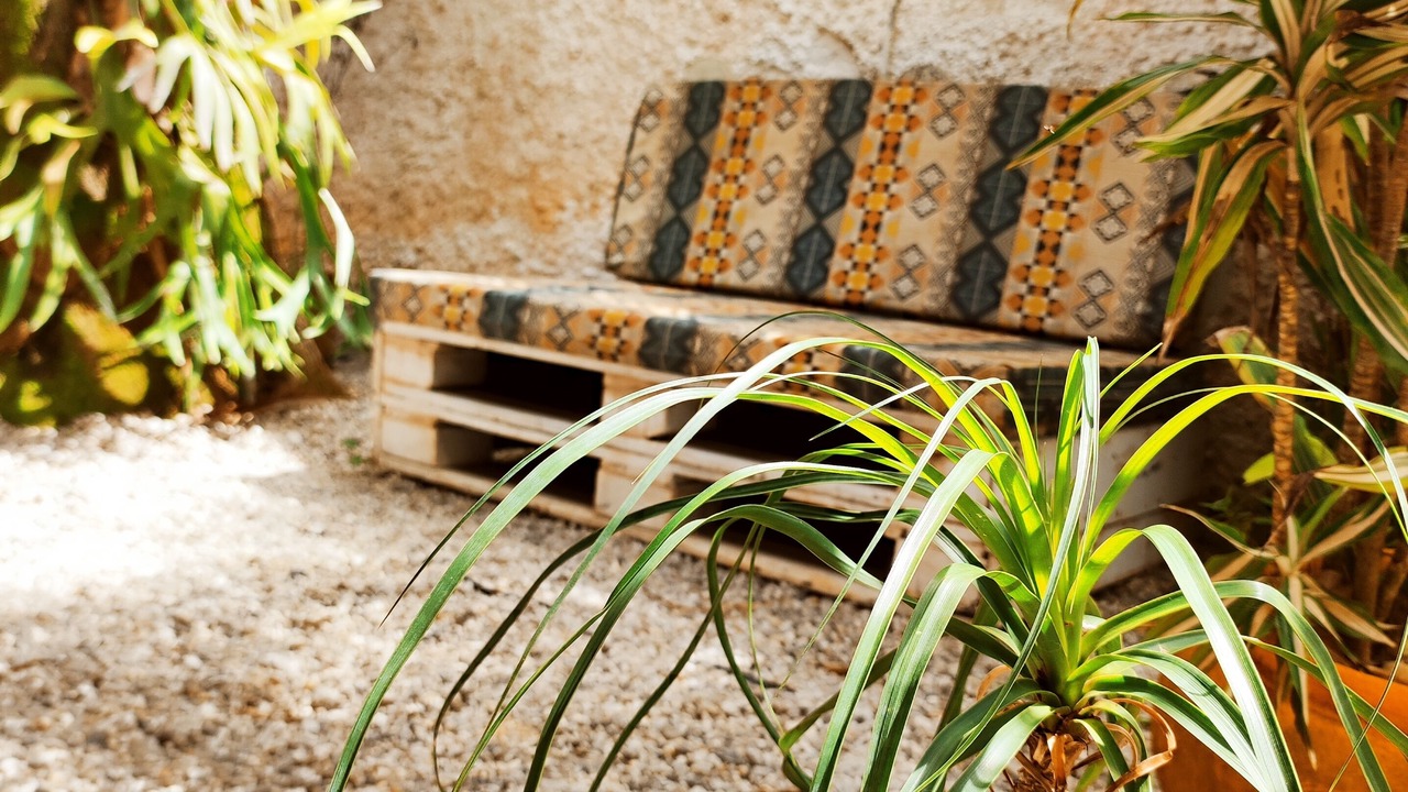Photo of Patio Balcony in Tenorio