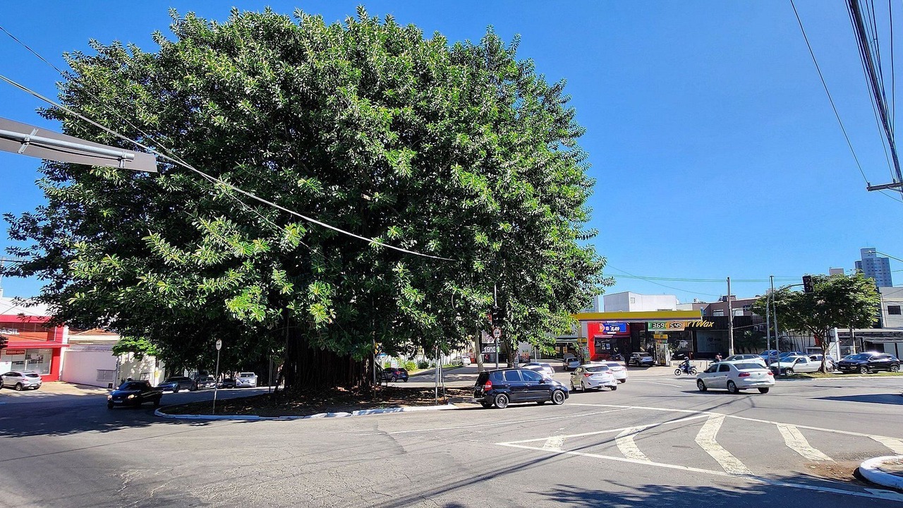 Photo of Others in Sao Paulo