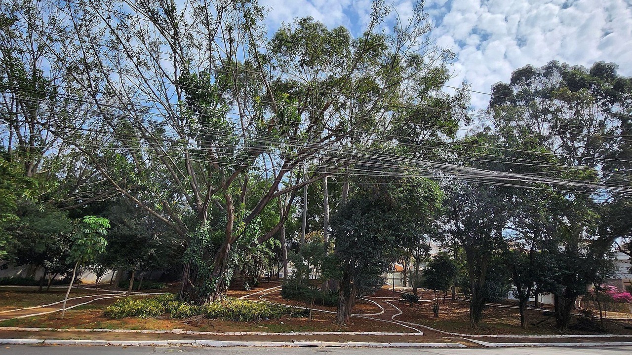 Photo of Others in Sao Paulo