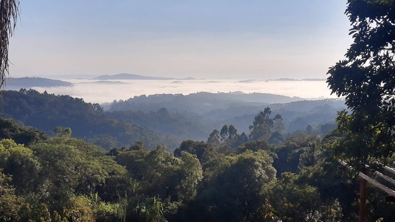 Photo of Outdoor in Sao Joao Novo
