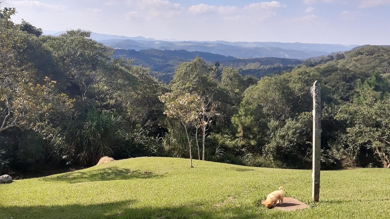 Photo of Outdoor in Sao Joao Novo