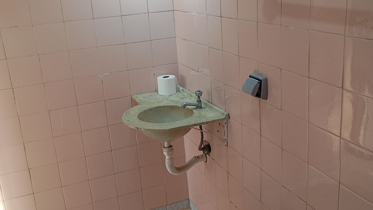 Photo of Bathroom in Sao Paulo