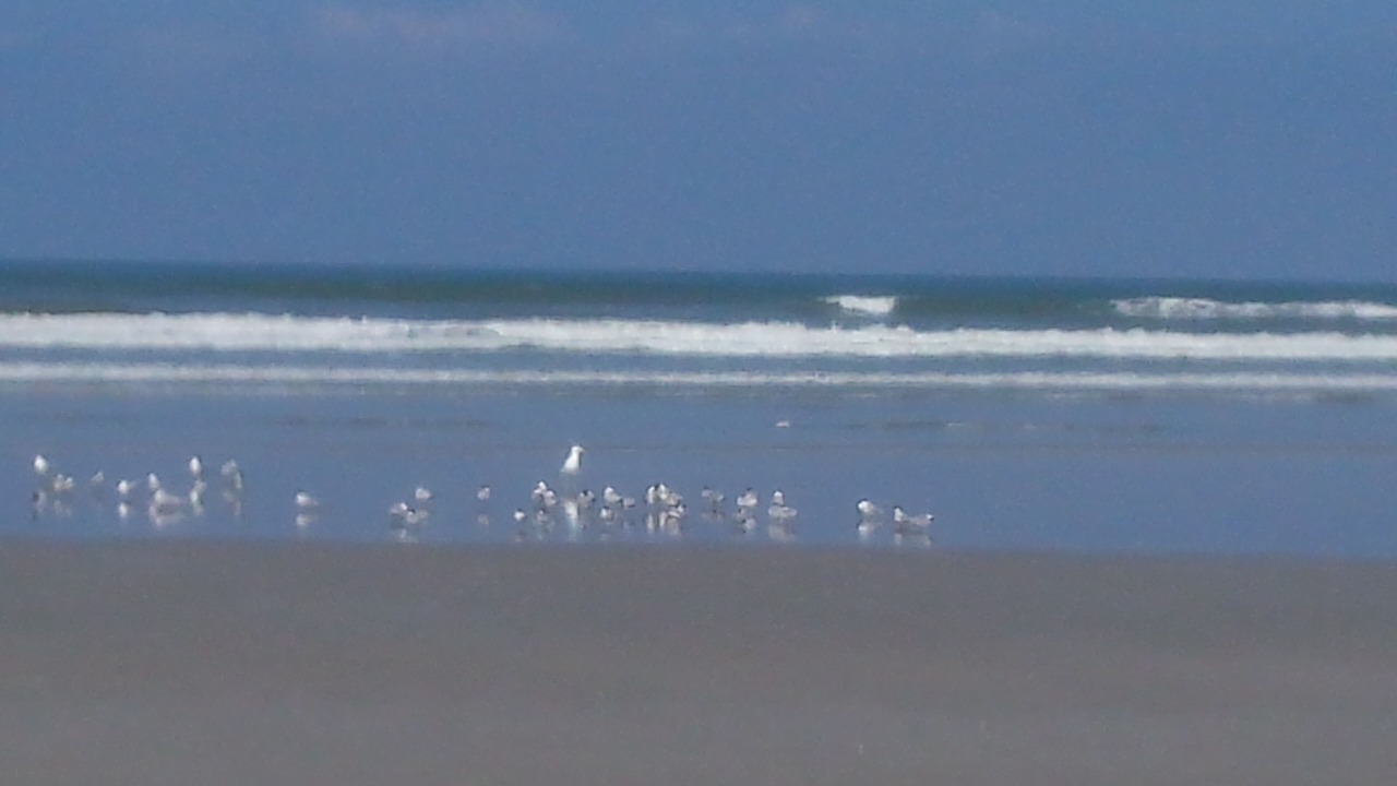 Photo of Others in Costa do Sol