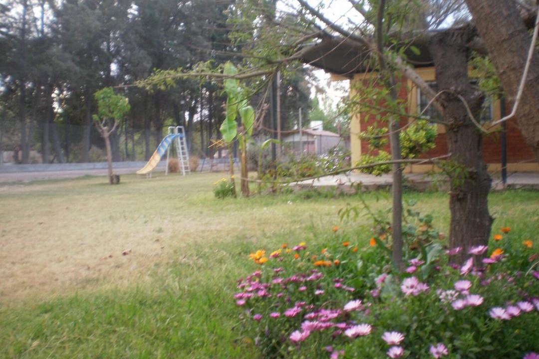 Photo of Others in Guaymallen