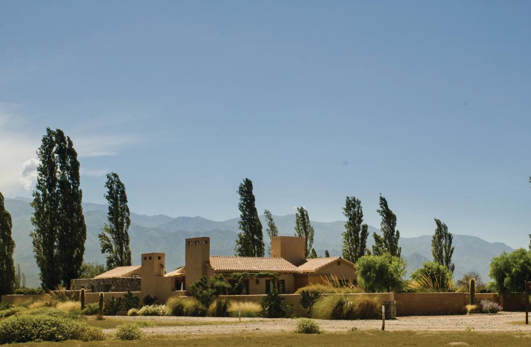 Photo of Others in Cafayate
