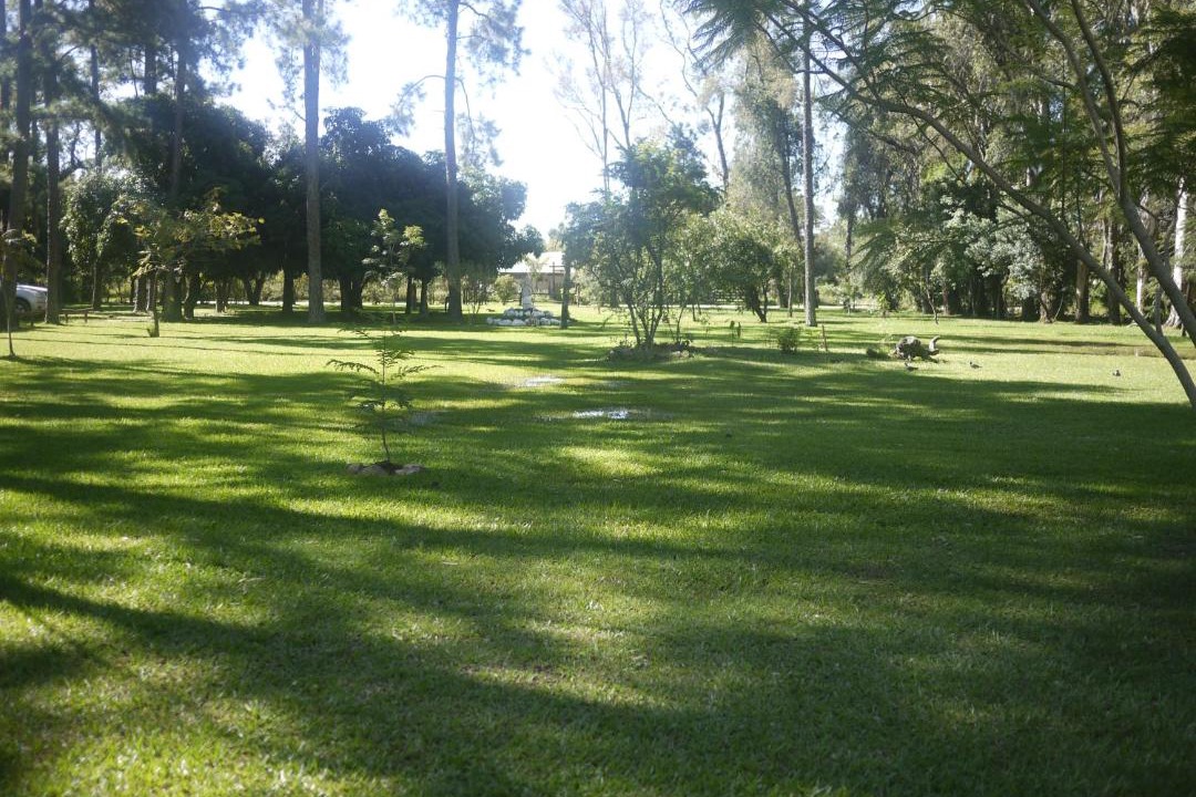 Photo of Others in Colonia Carlos Pellegrini