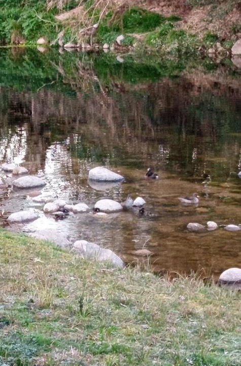 Photo of Others in Villa Cura Brochero