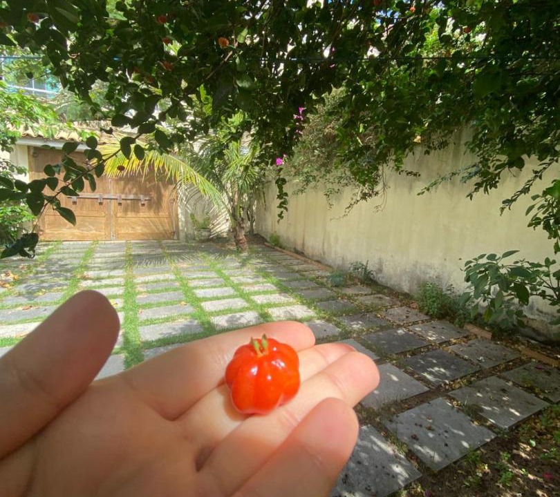Photo of Others in Ponta da Fruta
