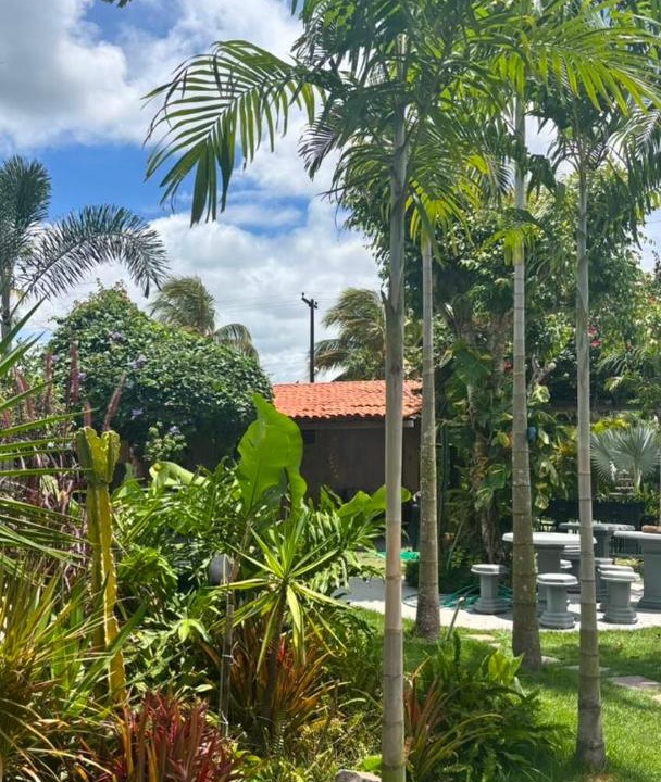 Photo of Others in Boquim
