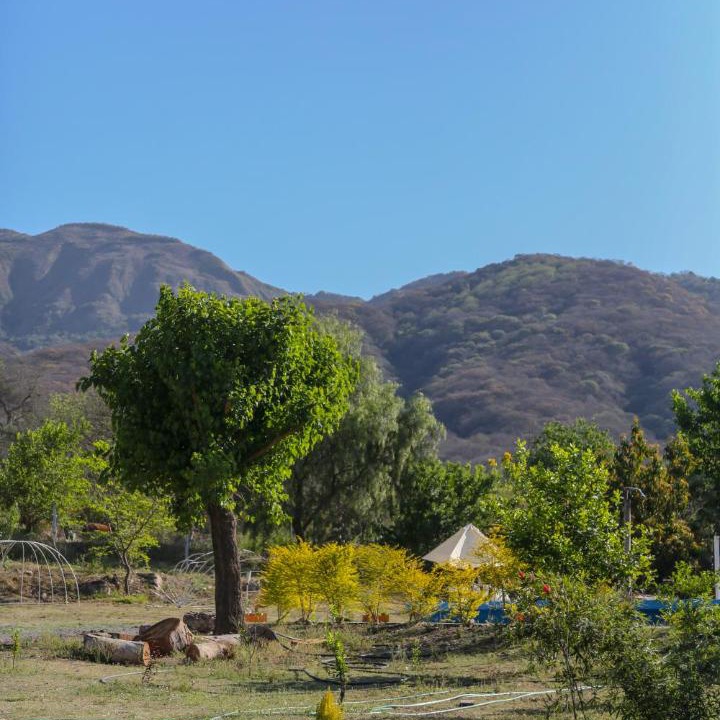 Photo of Others in Chicoana