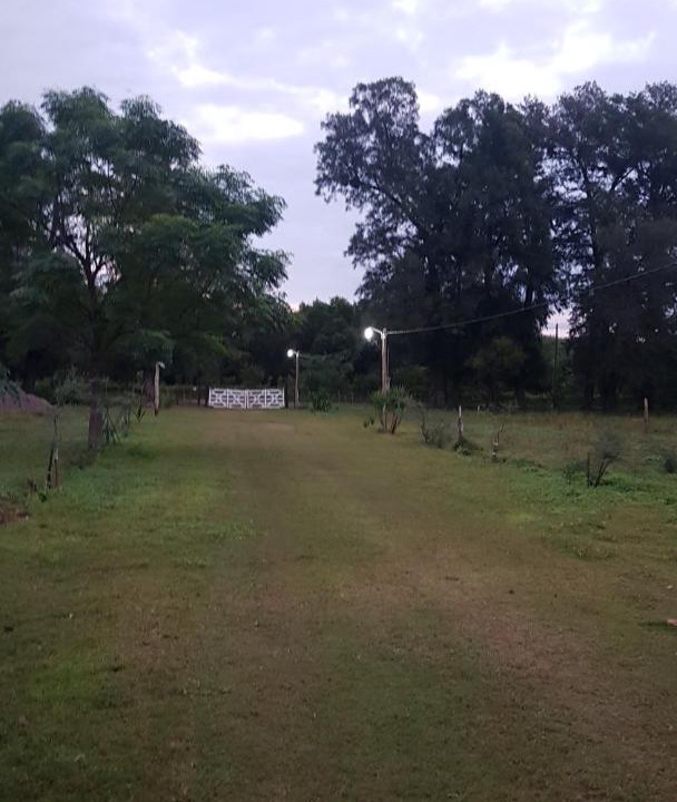 Photo of Others in Robles Department