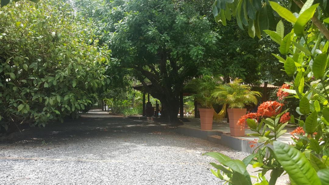 Photo of Others in Bonito