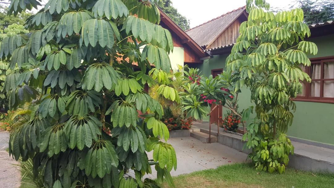 Photo of Others in Bonito