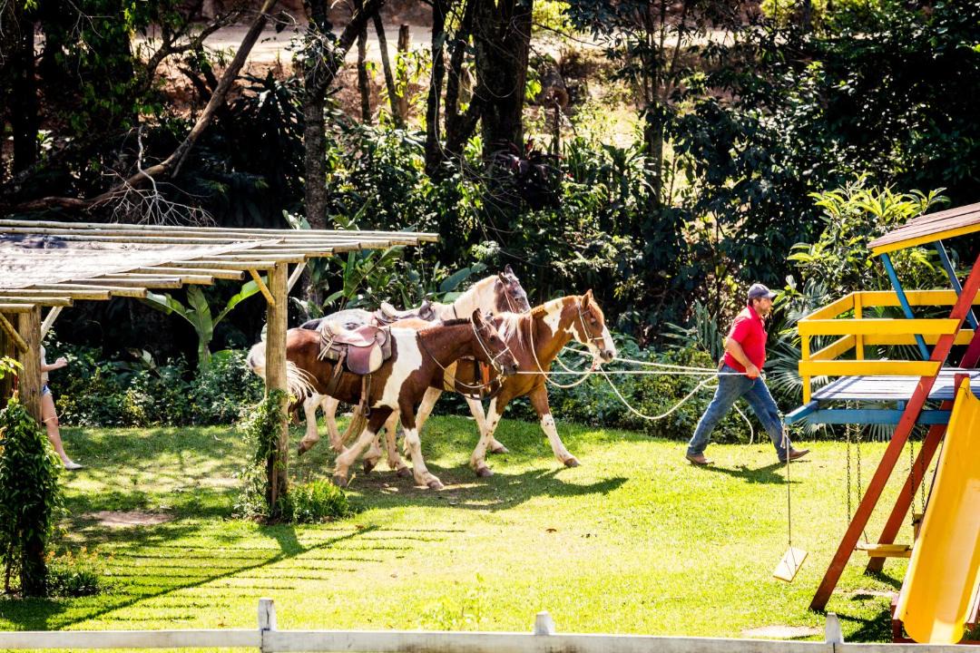Photo of Others in Monte Alegre do Sul