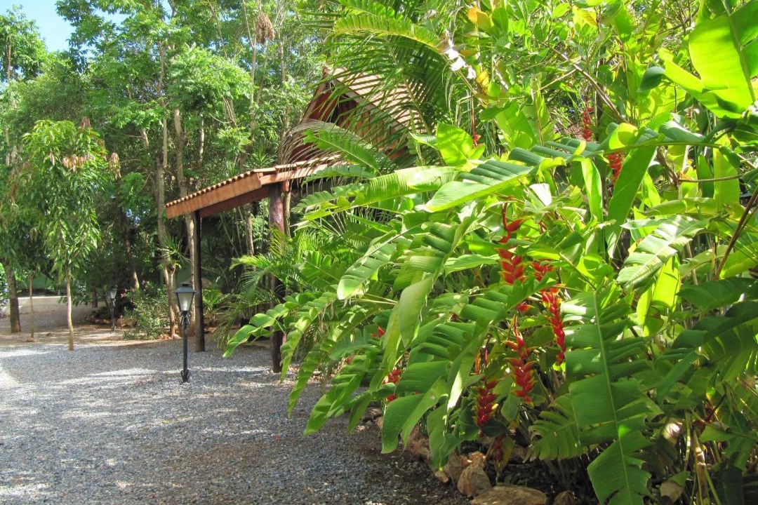 Photo of Others in Bonito