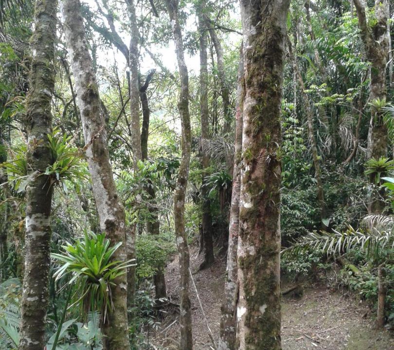 Photo of Others in Turvo dos Gois