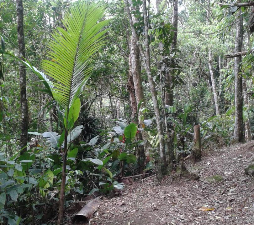 Photo of Outdoor in Turvo dos Gois