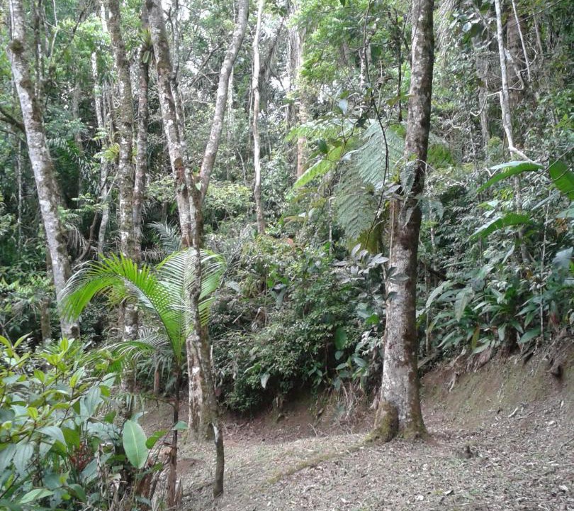 Photo of Others in Turvo dos Gois
