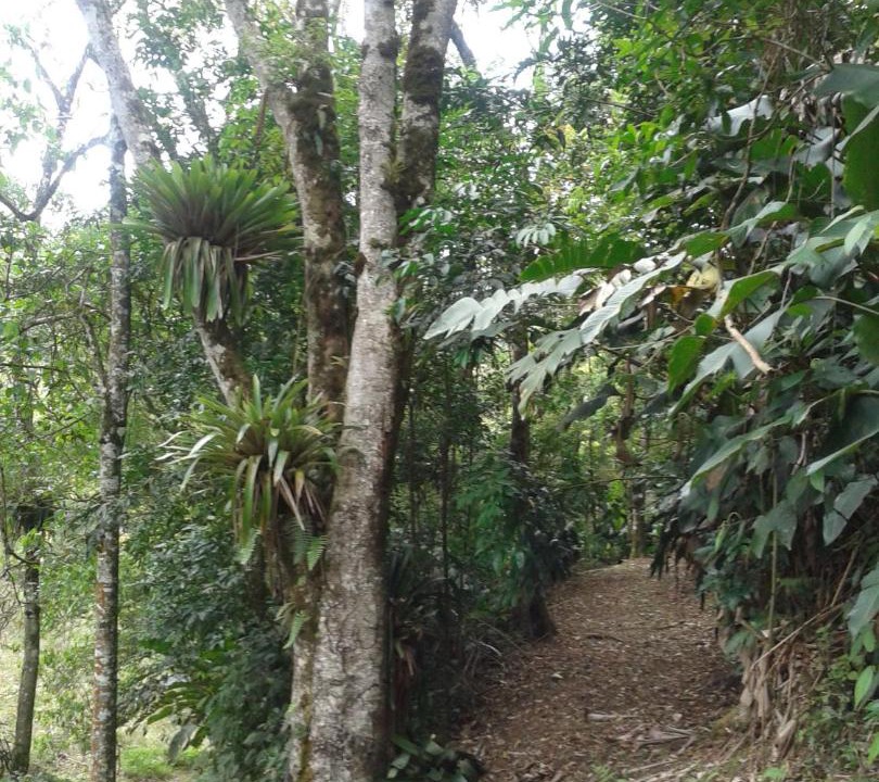 Photo of Others in Turvo dos Gois