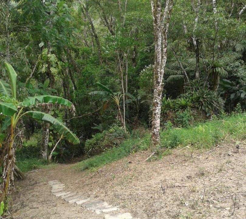 Photo of Outdoor in Turvo dos Gois