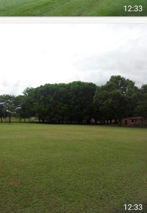 Photo of Others in Brasilia