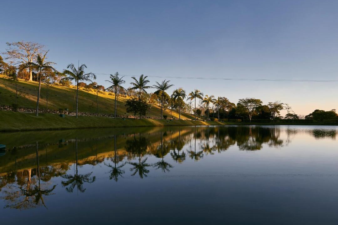 Photo of Others in Sao Roque
