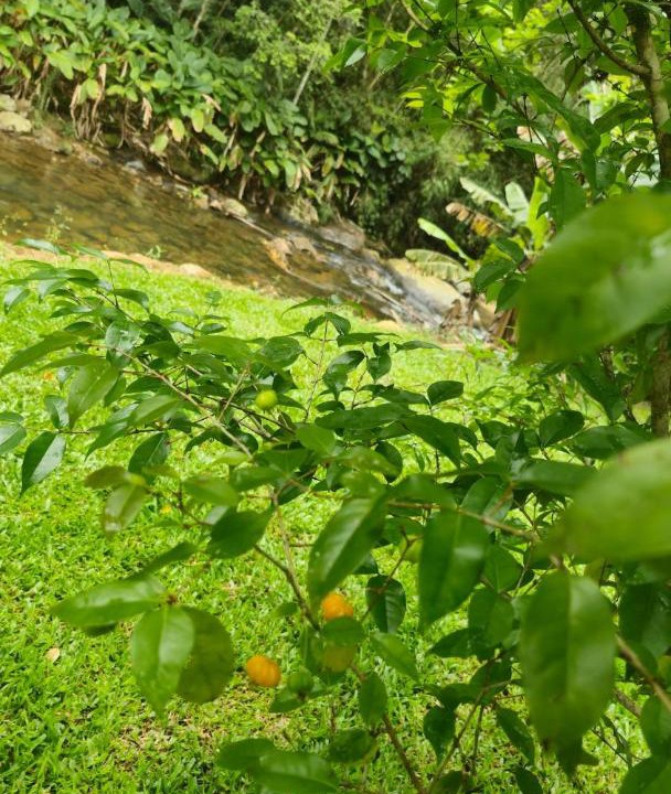 Photo of Outdoor in Antonio Carlos