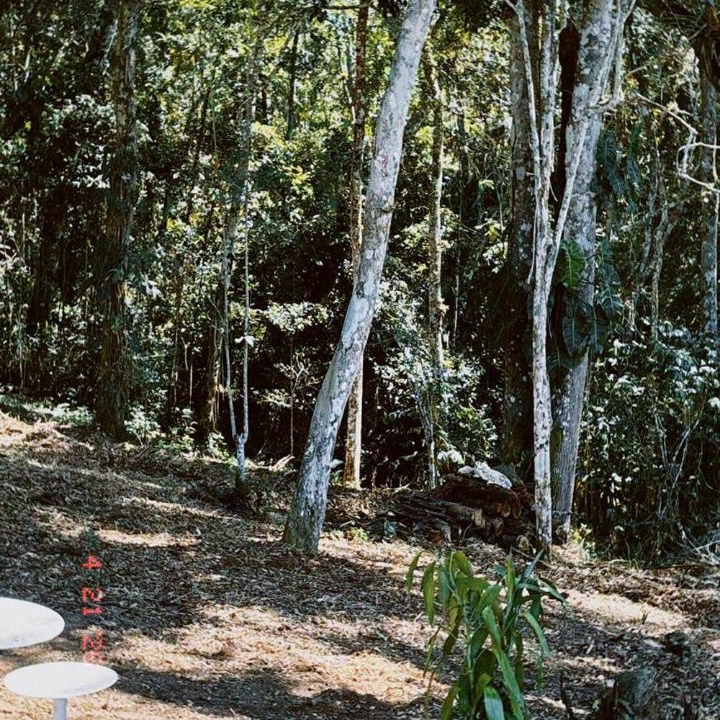 Photo of Others in Guaratingueta