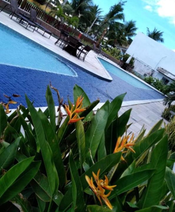 Photo of Others in Porto de Galinhas