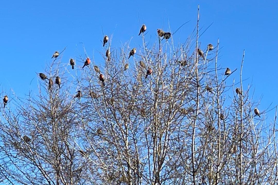 Photo of Others in Esquel