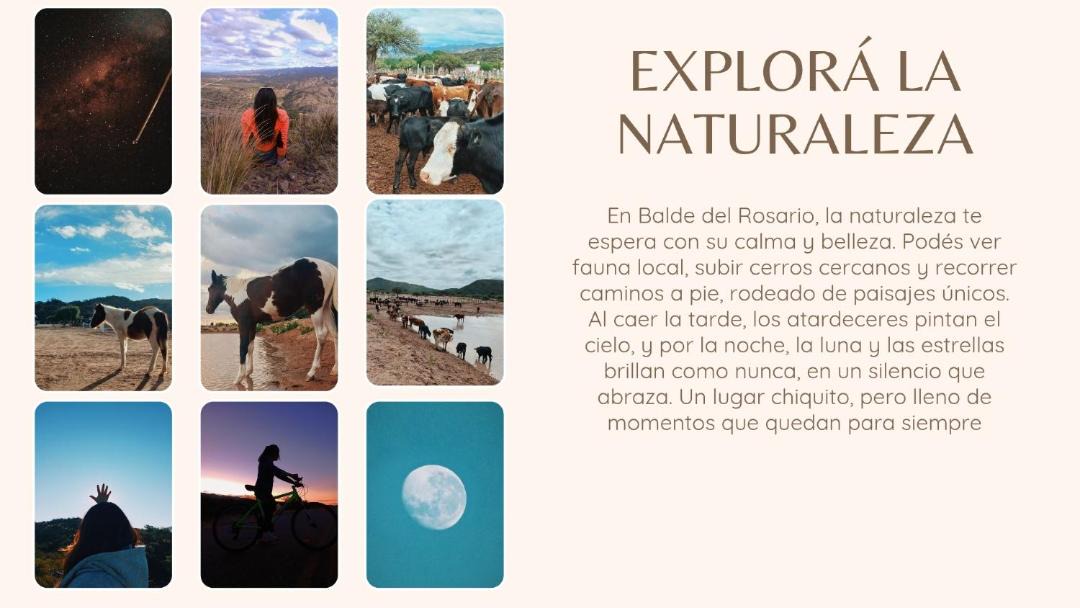 Photo of Others in Talampaya National Park