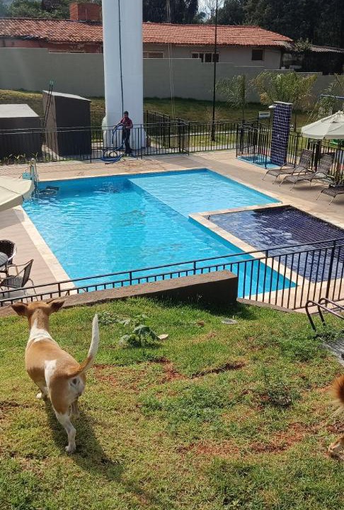 Photo of Others in Ribeirao Preto