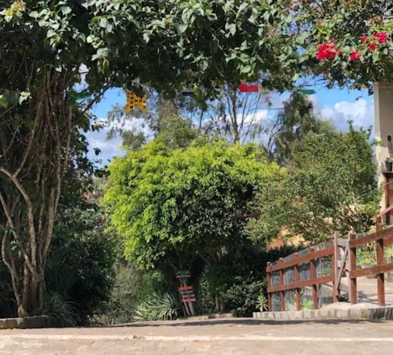 Photo of Others in Encruzilhada de Sao Joao