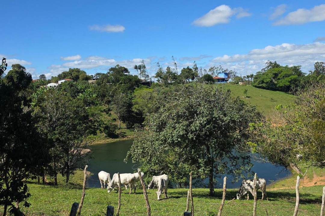 Photo of Others in Encruzilhada de Sao Joao