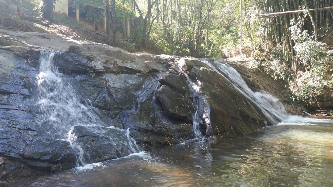 Photo of Others in Monte Alegre do Sul