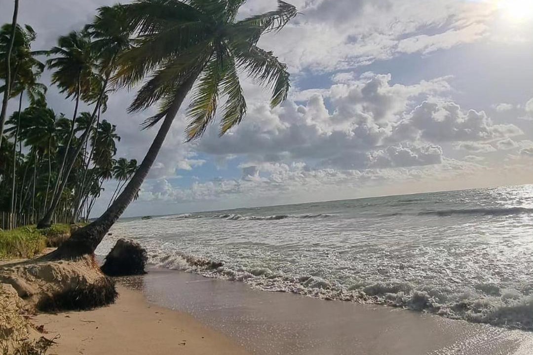 Photo of Others in Tamandare